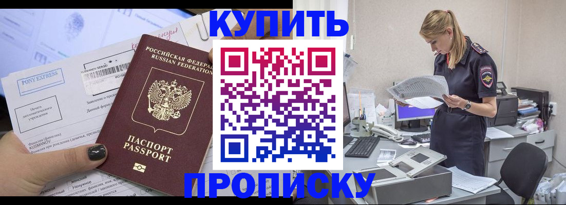 временная регистрация поиск в Белгородской области